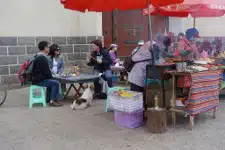 Avis Georges et Sylviane Yunnan