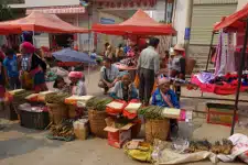 Avis Georges et Sylviane Yunnan
