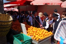 Avis Georges et Sylviane Yunnan