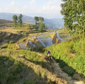 Avis Philippe et Bénédicte Yunnan