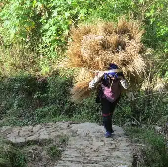 Avis Philippe et Bénédicte Yunnan