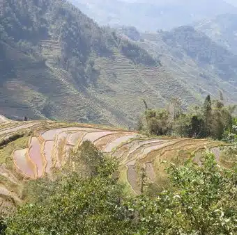 Avis Philippe et Bénédicte Yunnan