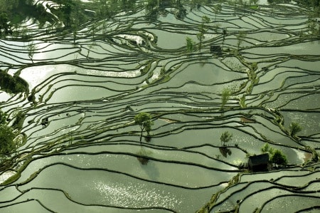 Avis Barrault Yunnan