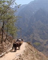 Avis Catherine et Lionel Yunnan