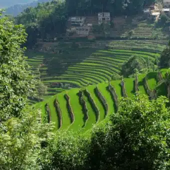 Avis Emmanuelle et Fabien Yunnan