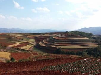 Avis Emmanuelle et Fabien Yunnan
