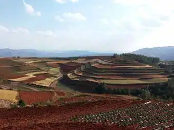 Avis Emmanuelle et Fabien Yunnan