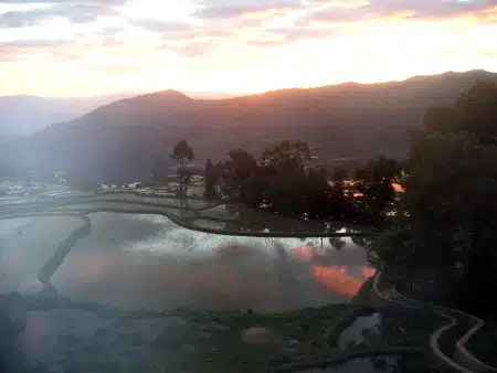 Avis Joguet Yunnan
