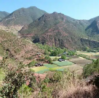 Avis Laurence Yunnan