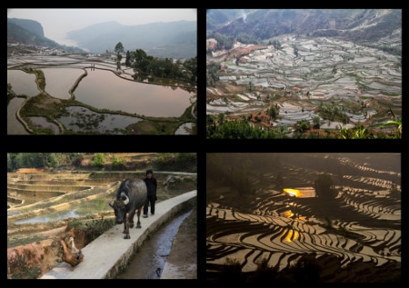 Avis Marylène et jean-Marie Yunnan