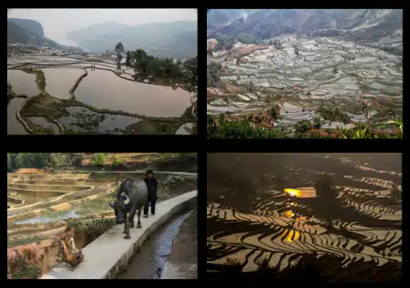 Avis Marylène et jean-Marie Yunnan