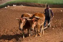 Avis Marylène et jean-Marie Yunnan