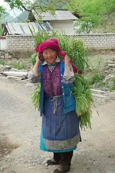 Avis Famille Olivia Yunnan