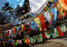 Avis Famille Olivia Yunnan