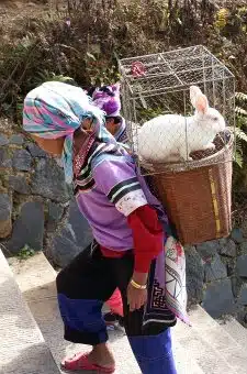 Avis groupe catherine Yunnan