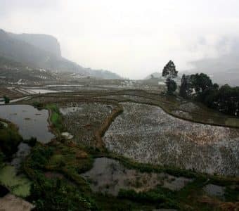 avis-groupe-chavenas-yunnan-2
