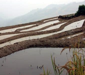 Avis groupe Chavenas