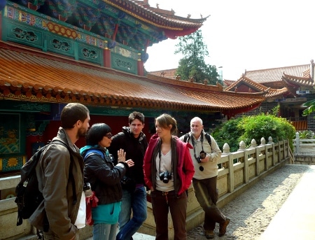 Avis groupe Dauphin Yunnan