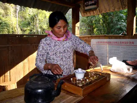 Avis Lasserre Yunnan