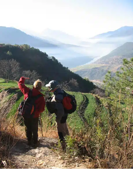 Avis leprince Yunnan