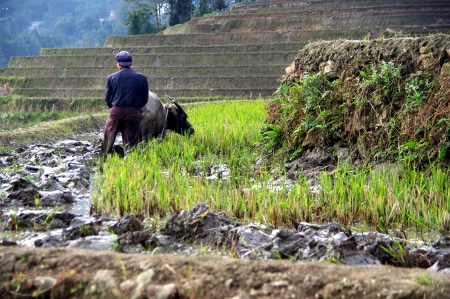 Avis Marie Jo et Pierre