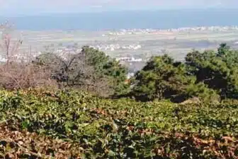 Aventure Culinaire dans l'ouest du Yunnan – Image 5