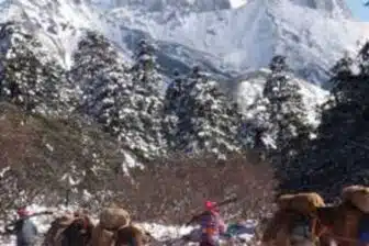 Caravanes tibétaines autour de Shangri La – Image 18