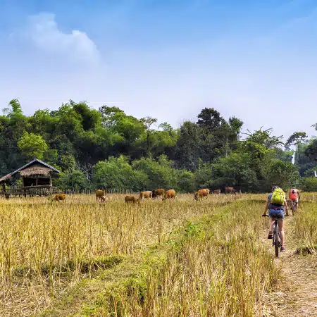 Voyage Nord Laos et Nord Yunnan – Image 3