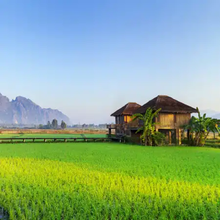 Voyage Nord Laos et Nord Yunnan – Image 6