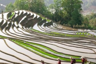 Circuit Yunnan Vietnam