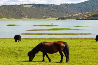 Parc Pudacuo 普达措国家公园