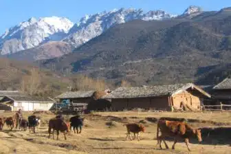 Wenhai 文海