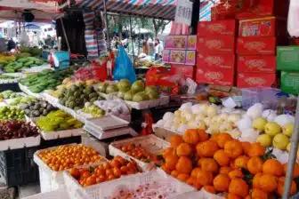 Trek dans les théiers du Xishuangbanna – Image 3