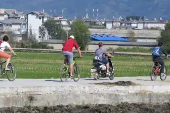 Pékin, Yunnan et les pandas du Sichuan – Image 4