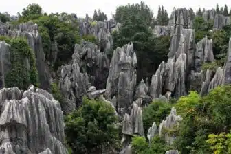 Forêt de Pierre 石林