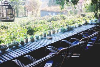 Fabriquez votre thé !