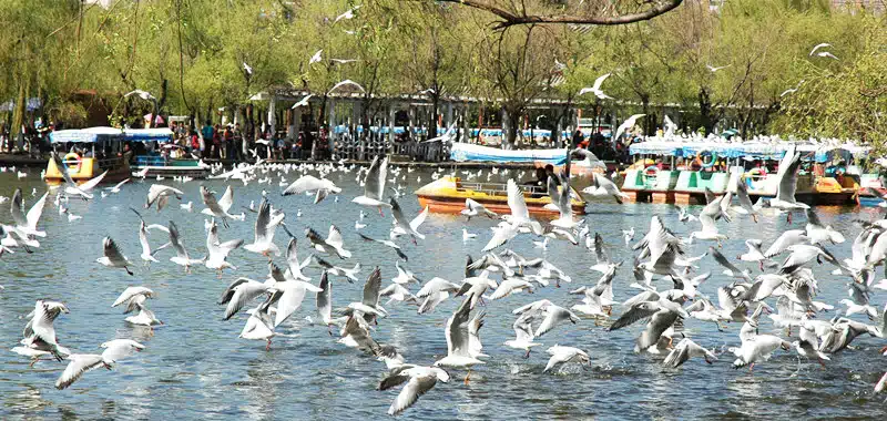 Green Lake Park Kunming