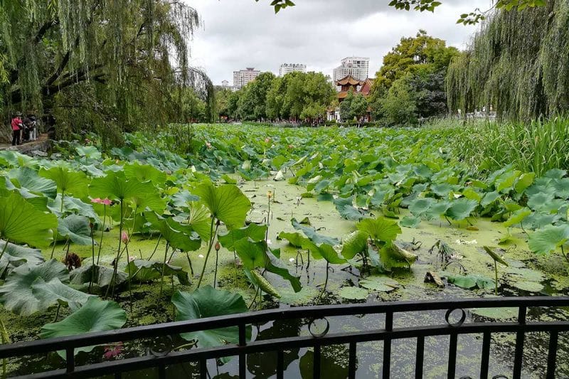 Parc du Lac d'Emeraude - Kunming