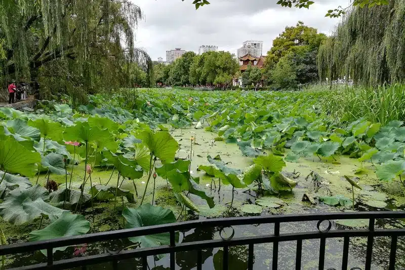 Parc du Lac d'Emeraude - Kunming