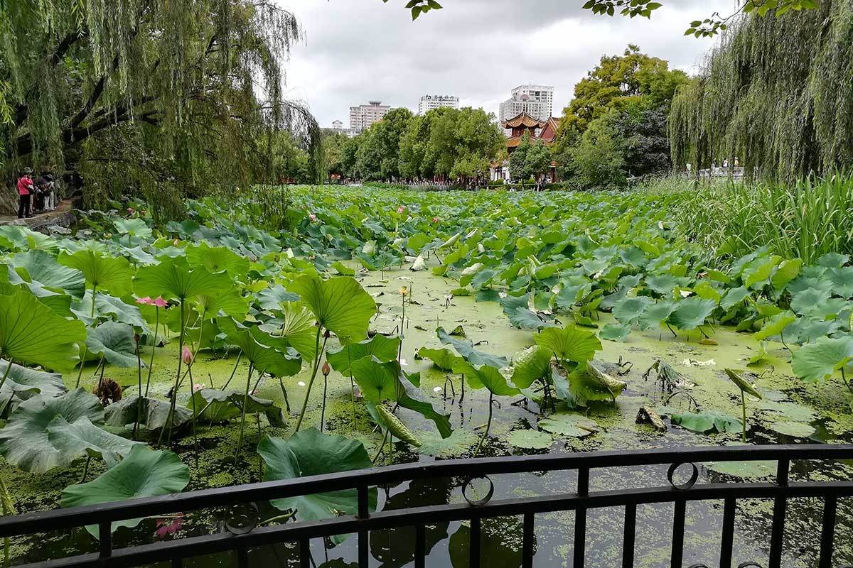 Parc du Lac d'Emeraude - Kunming