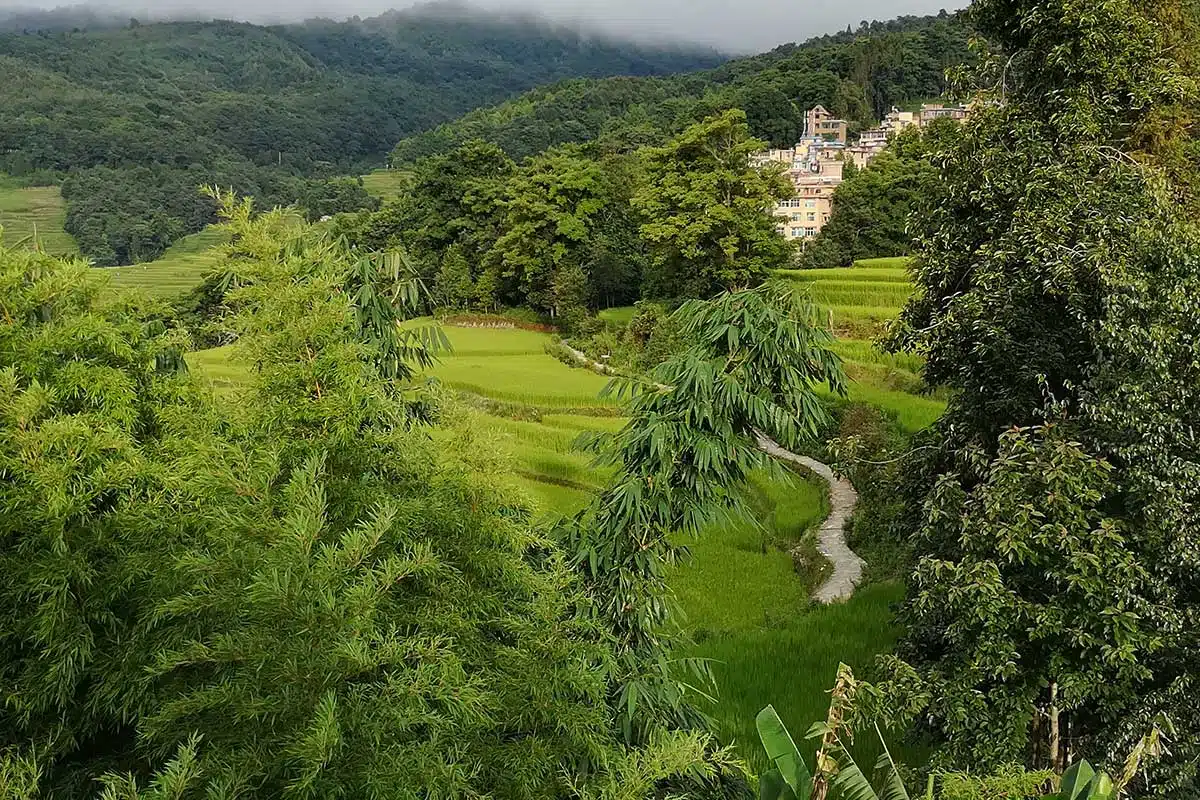 Rizières de Yuanyang au Yunnan