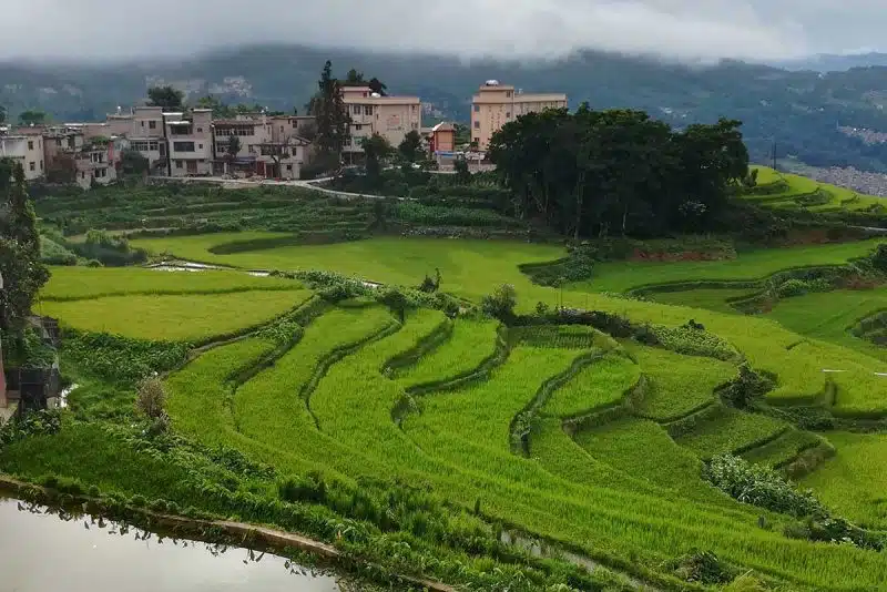 Rizières de Yuanyang au Yunnan