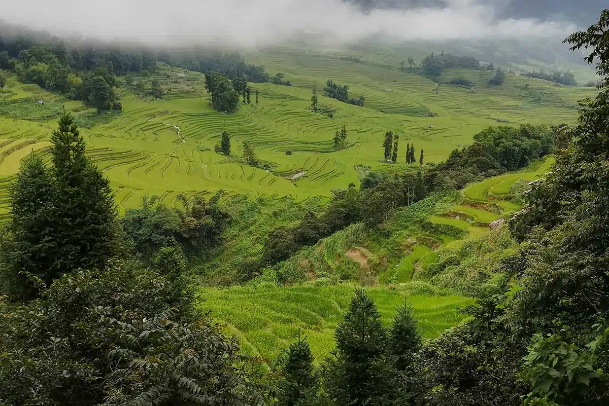 Rizières de Yuanyang au Yunnan