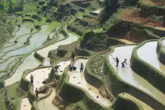 Voyage à Pékin, Xi’an et Yunnan – Image 11