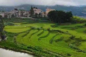 Voyage à Pékin, Xi’an et Yunnan – Image 7