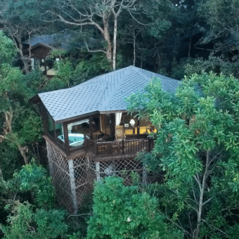 Red Panda Manor Pu’re