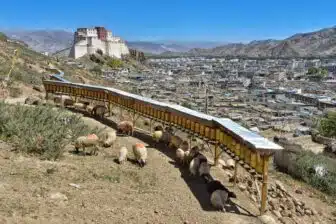 Combiné Yunnan et Tibet court – Image 13
