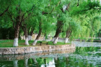 Splendeurs de Chine – Image 16