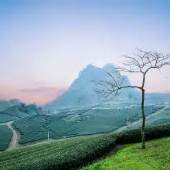 Montagnes des Théiers Ancestraux du Xishuangbanna (9j)